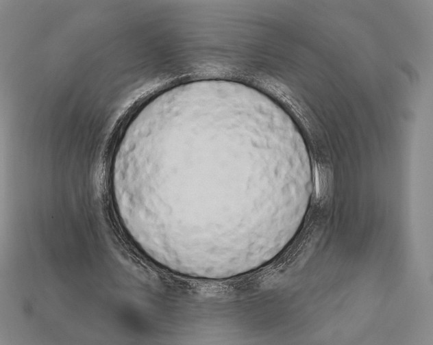X0000112200579200909181535