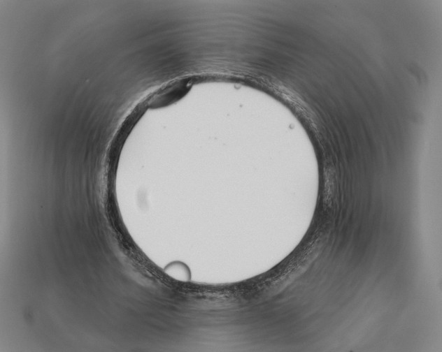 X0000112200580200909181535