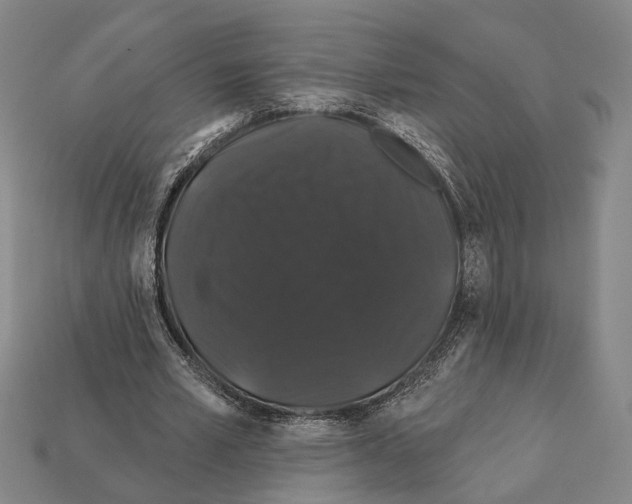 X0000112200581200909181535
