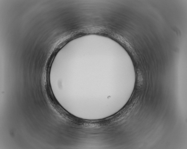 X0000112200582200909181535