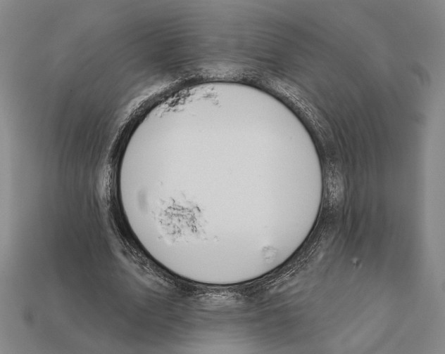 X0000112200583200909181535