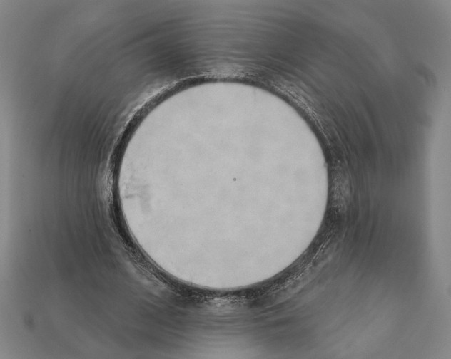 X0000112200584200909181535