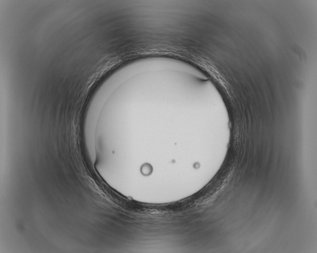 X0000112200585200909181535