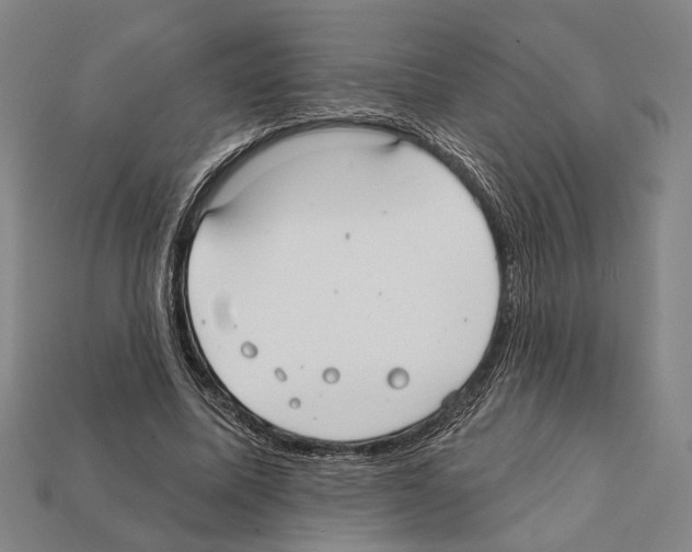 X0000112200587200909181535
