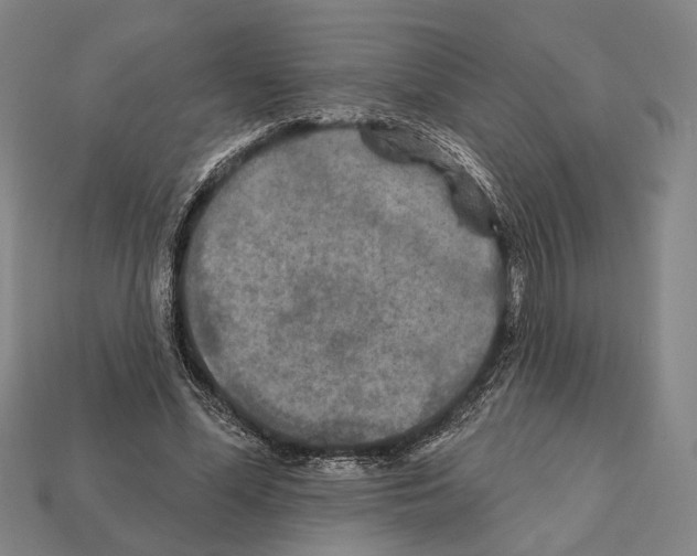 X0000112200588200909181535