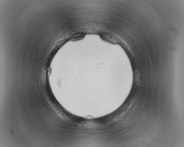 X0000112200589200909181535