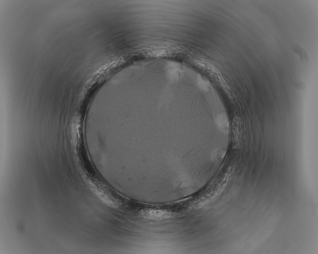 X0000112200590200909181535