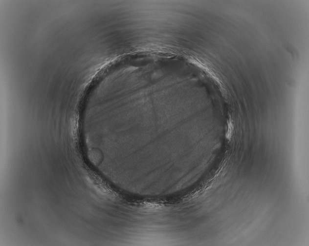 X0000112200592200909181535