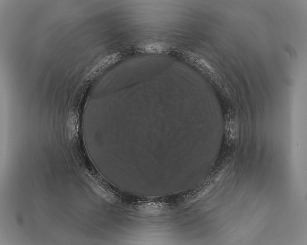 X0000112200593200909181535