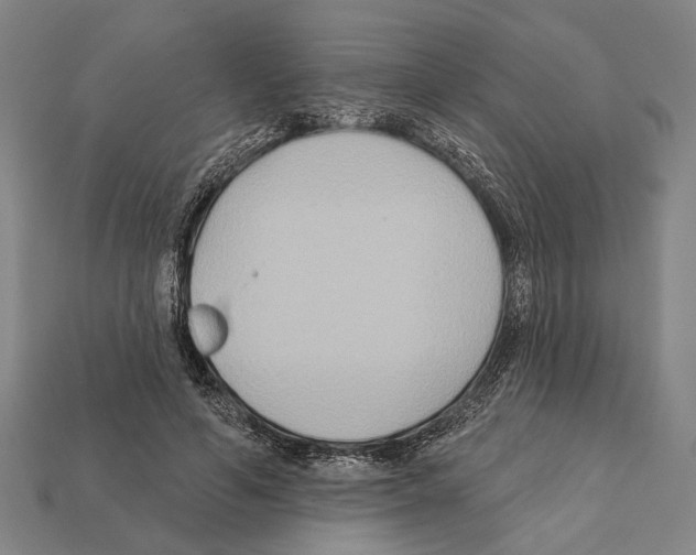 X0000112200594200909181535