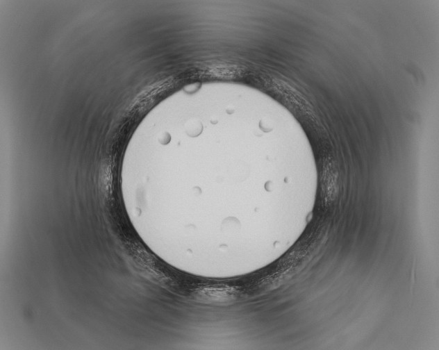 X0000112200595200909181535
