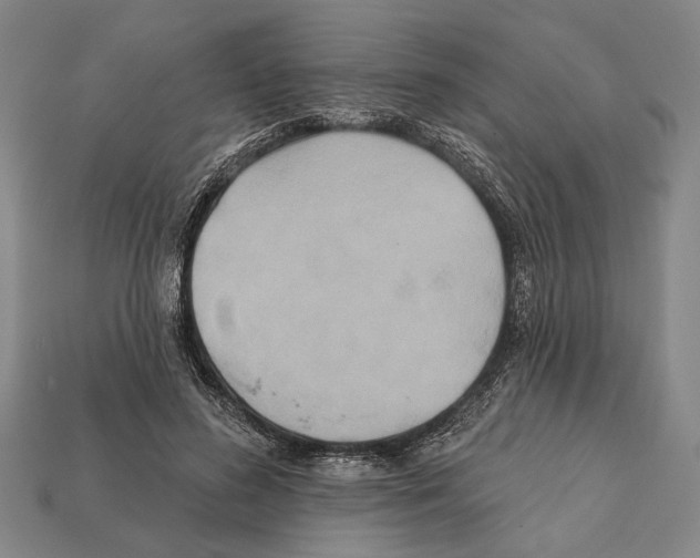 X0000112200596200909181535