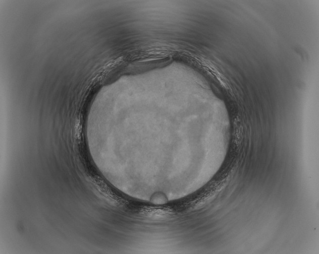 X0000112200597200909181535