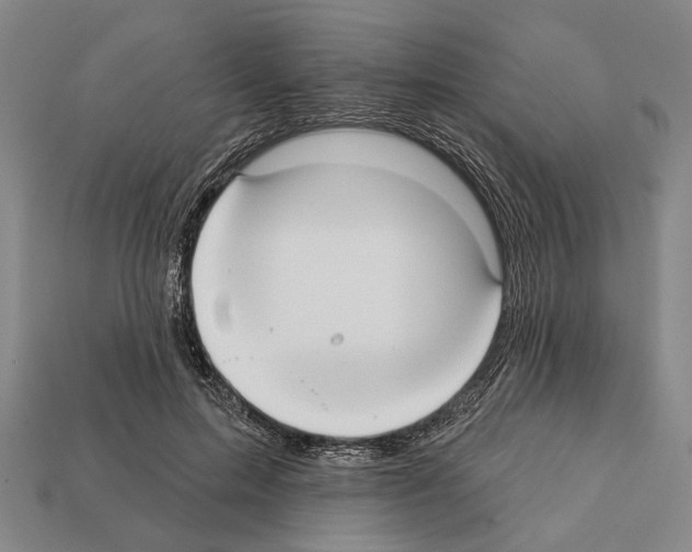 X0000112200599200909181535