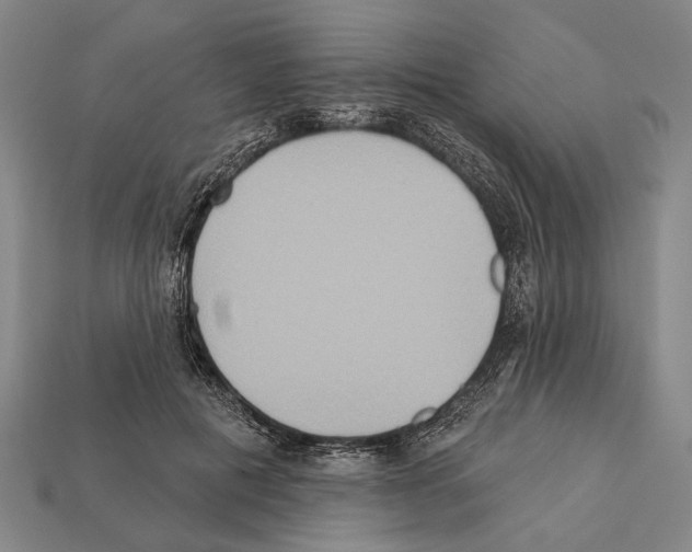 X0000112200601200909181535