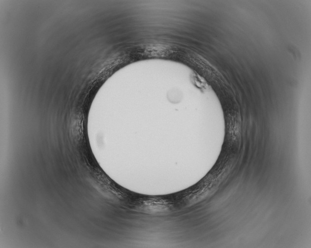 X0000112200603200909181535