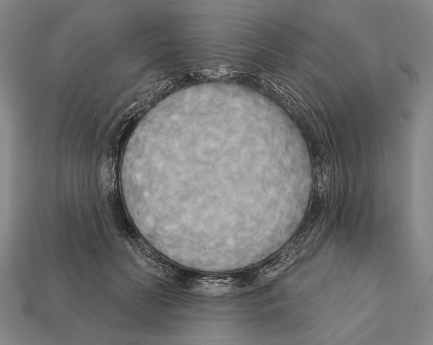 X0000112200606200909181535