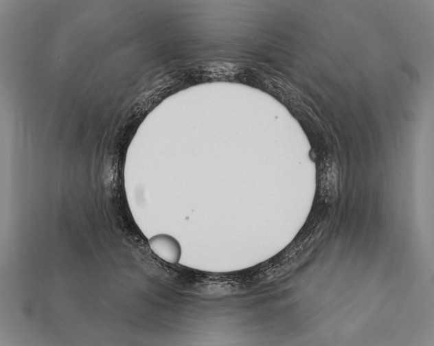 X0000112200608200909181535