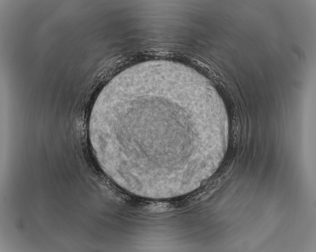 X0000112200609200909181535