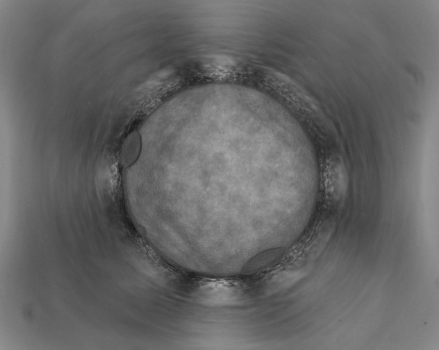 X0000112200611200909181535