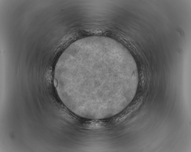 X0000112200612200909181535