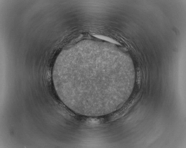 X0000112200613200909181535