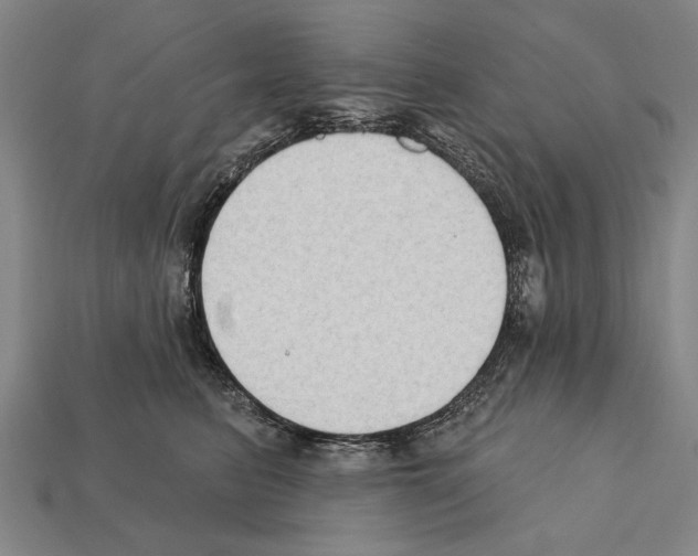 X0000112200615200909181535