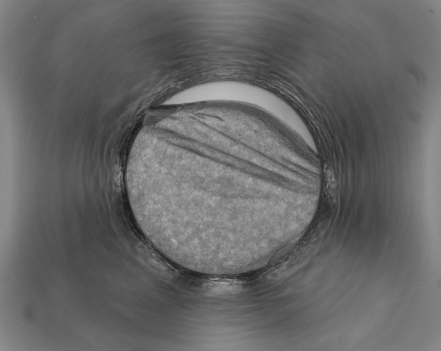 X0000112200617200909181535