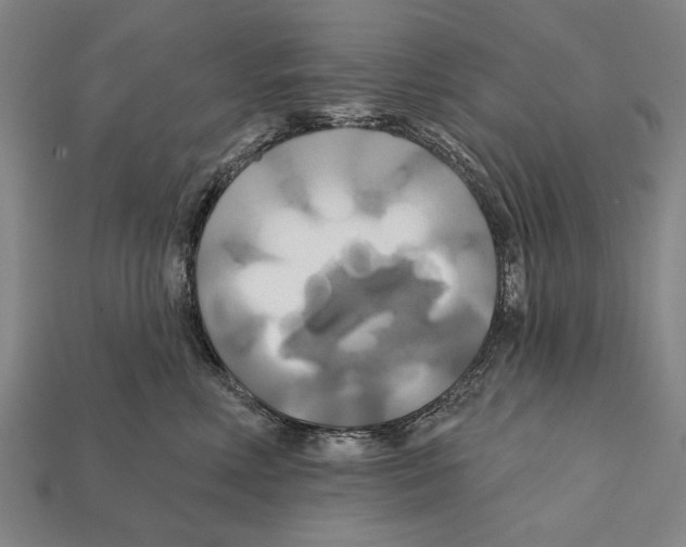 X0000112200618200909181535