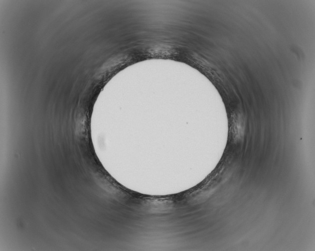 X0000112200619200909181535