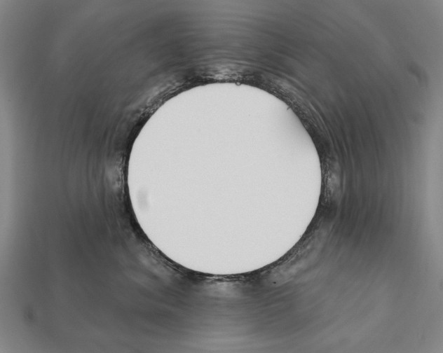 X0000112200620200909181535