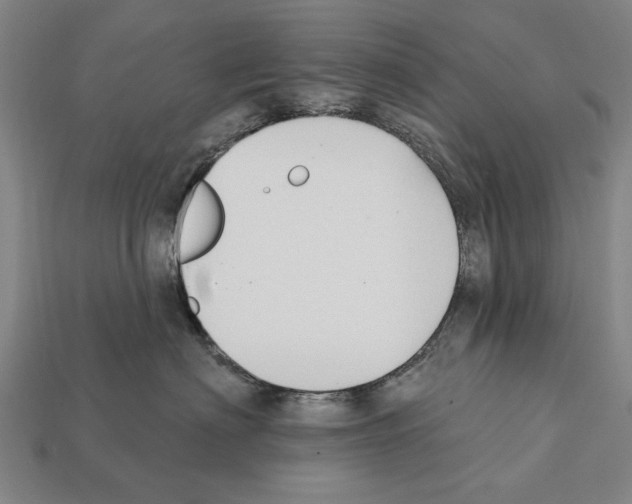 X0000112200622200909181535