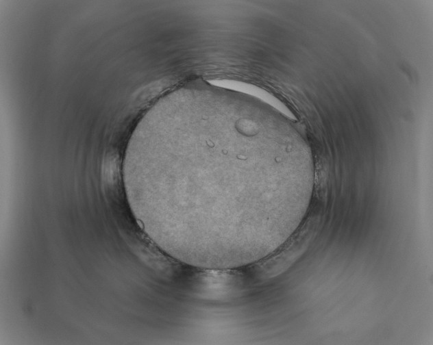 X0000112200623200909181535