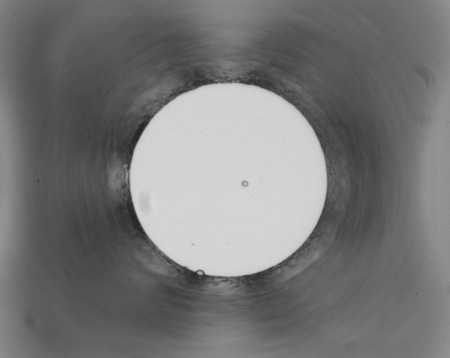 X0000112200624200909181535
