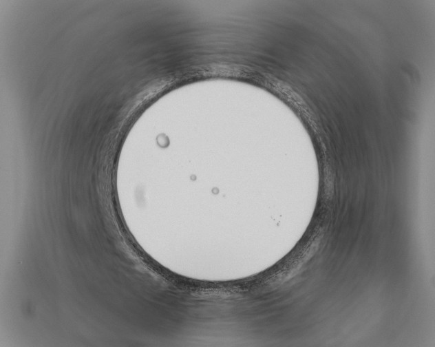 X0000112200625200909181534