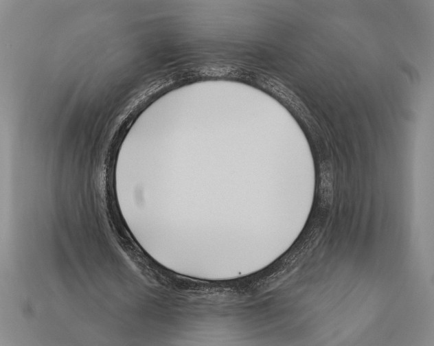 X0000112200626200909181534