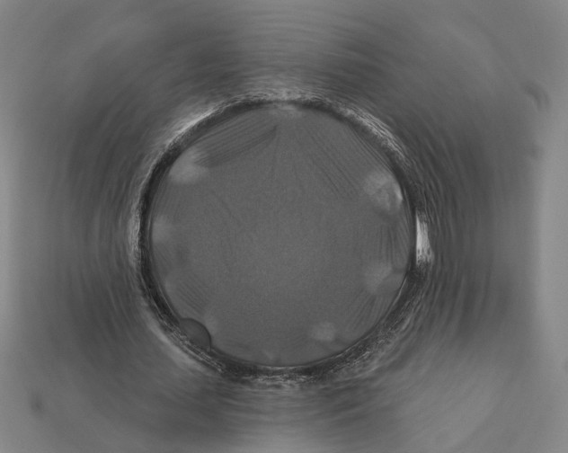 X0000112200627200909181534