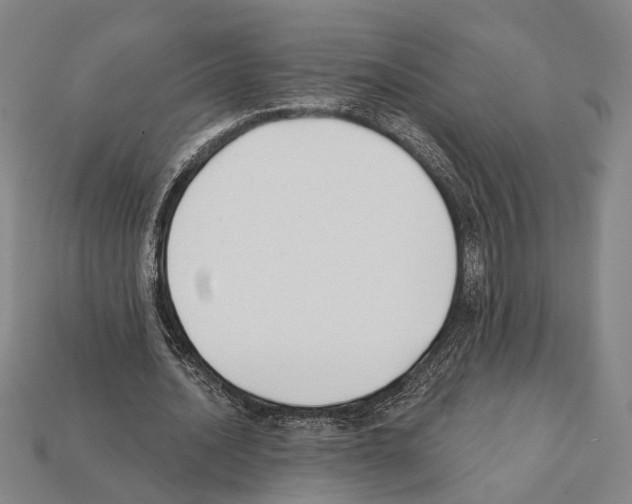 X0000112200628200909181534