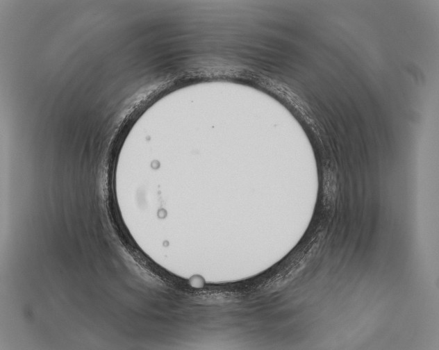 X0000112200629200909181534