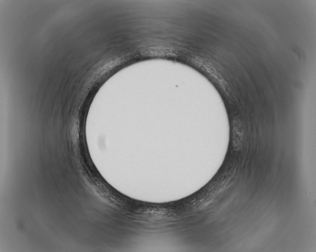 X0000112200631200909181534