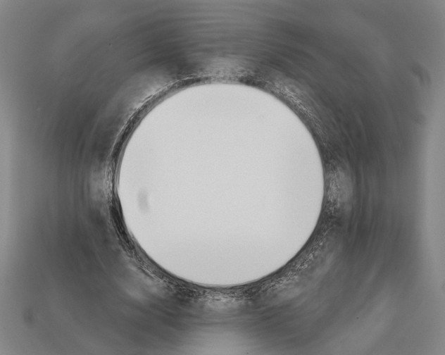 X0000112200632200909181534