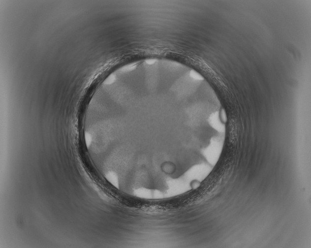 X0000112200634200909181534