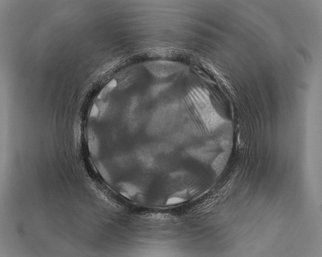 X0000112200637200909181534