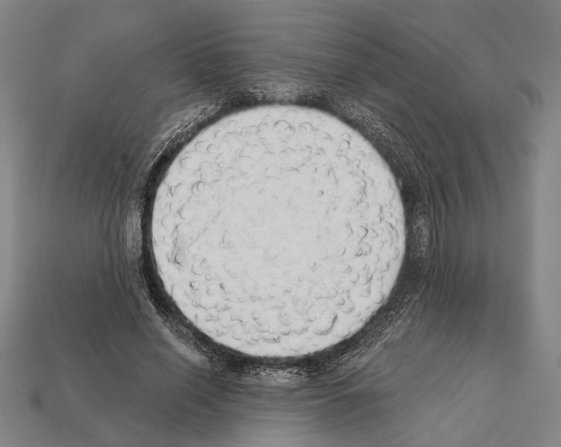 X0000112200638200909181534
