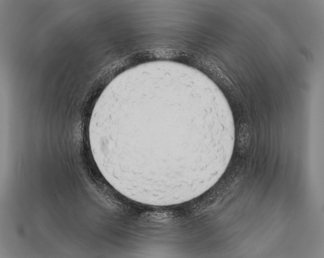 X0000112200639200909181534