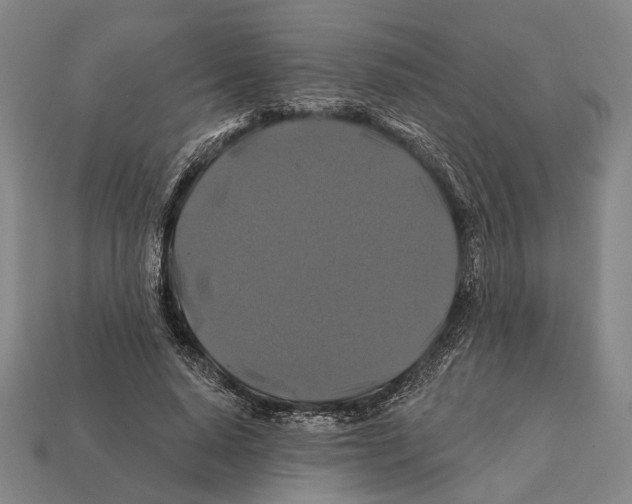 X0000112200640200909181534