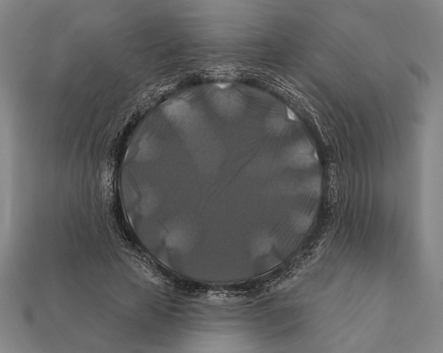 X0000112200641200909181534