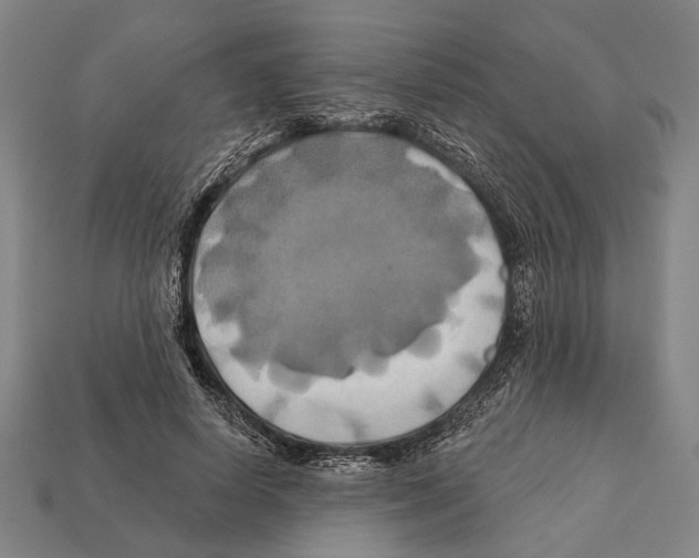 X0000112200642200909181534