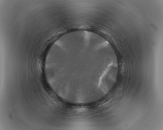 X0000112200643200909181534