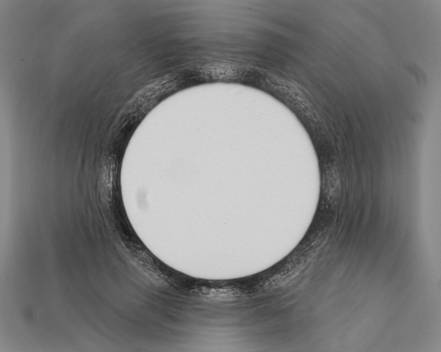 X0000112200645200909181534